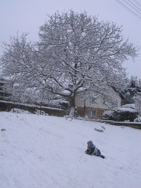 rodelberg-051228